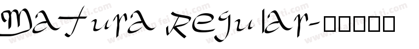 Matura Regular字体转换
